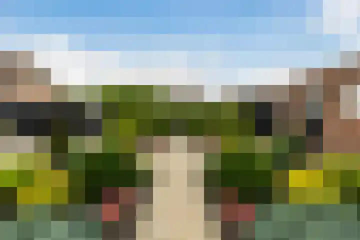 Verlengde Kerkweg 42 Hattemerbroek thumbnail 40