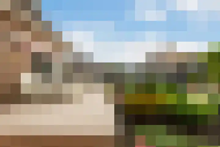 Verlengde Kerkweg 42 Hattemerbroek thumbnail 41