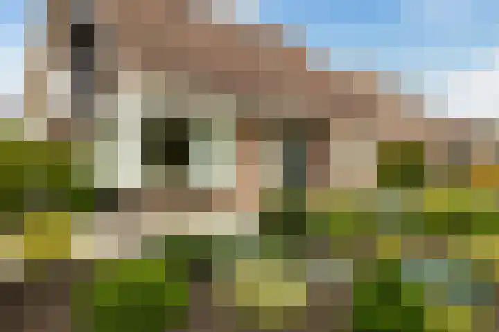 Verlengde Kerkweg 42 Hattemerbroek thumbnail 6