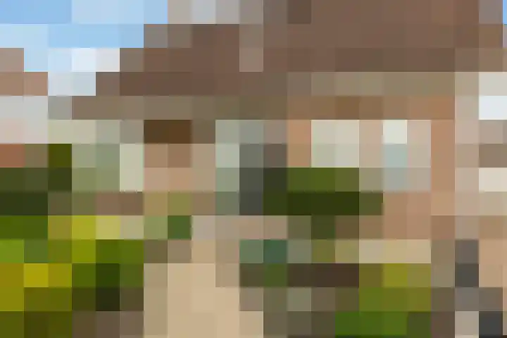 Verlengde Kerkweg 42 Hattemerbroek thumbnail 7