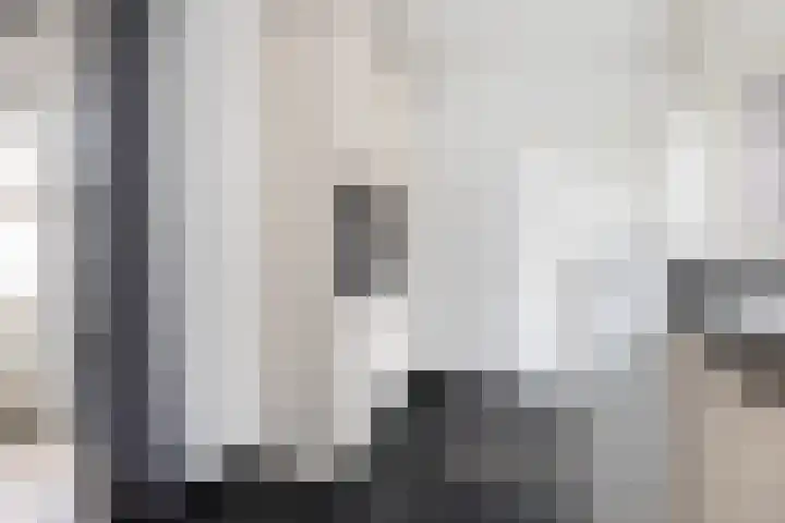 Verlengde Kerkweg 50 Hattemerbroek thumbnail 19