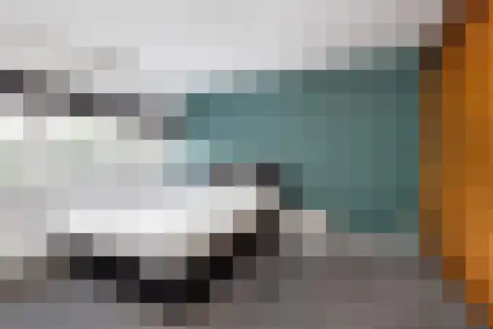 Verlengde Kerkweg 50 Hattemerbroek thumbnail 23