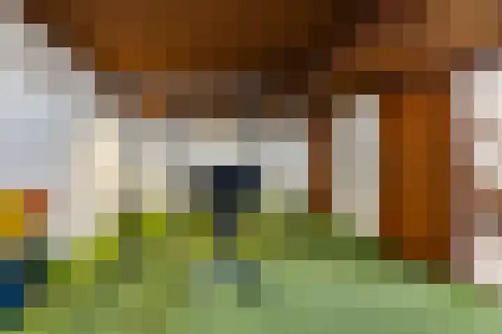 Verlengde Kerkweg 50 Hattemerbroek thumbnail 39