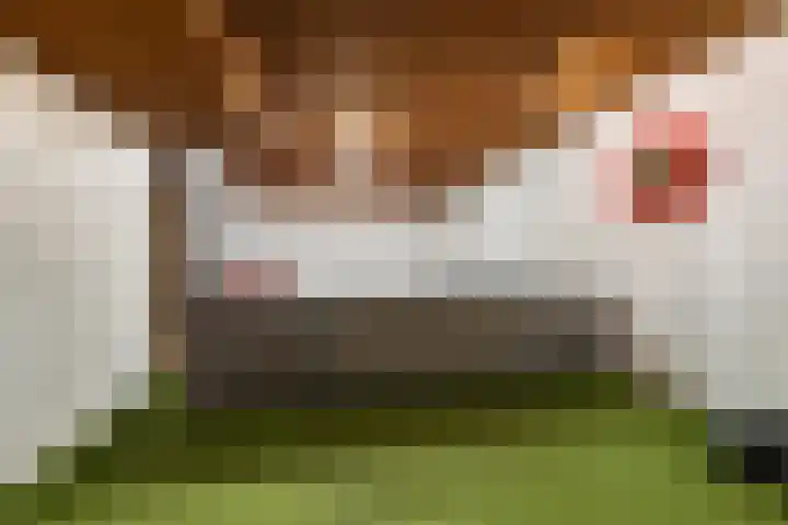 Verlengde Kerkweg 50 Hattemerbroek thumbnail 40