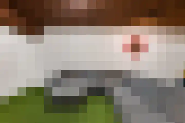 Verlengde Kerkweg 50 Hattemerbroek thumbnail 41