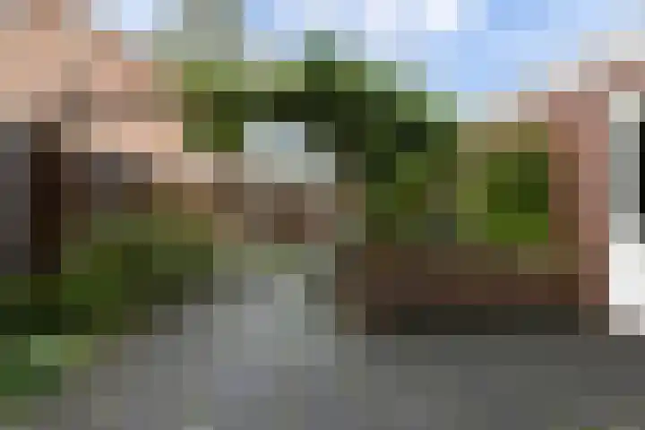 Verlengde Kerkweg 50 Hattemerbroek thumbnail 44