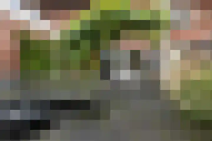 Verlengde Kerkweg 50 Hattemerbroek thumbnail 46