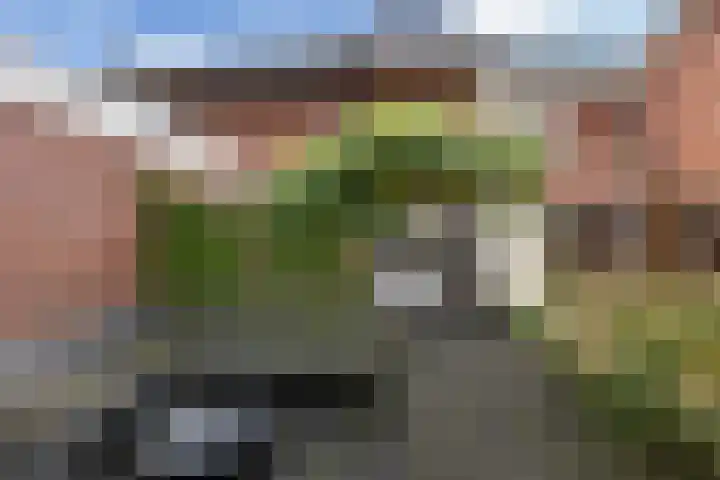 Verlengde Kerkweg 50 Hattemerbroek thumbnail 47