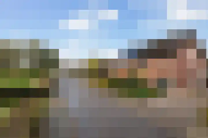 Verlengde Kerkweg 50 Hattemerbroek thumbnail 5