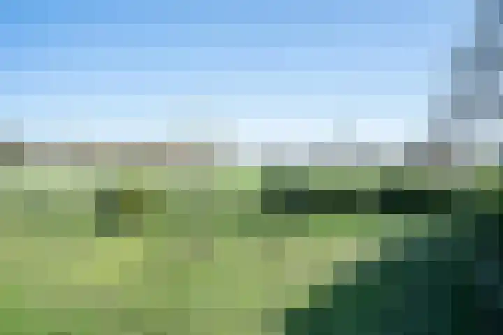 Verlengde Kloosterlaan 3 Winschoten thumbnail 29
