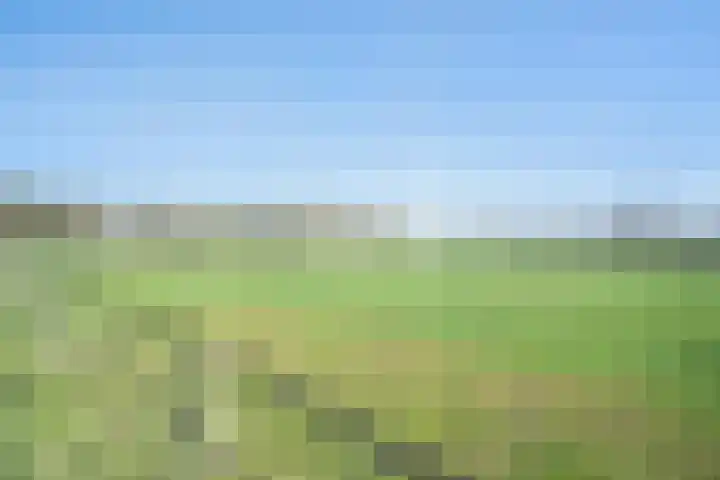 Verlengde Kloosterlaan 3 Winschoten thumbnail 31