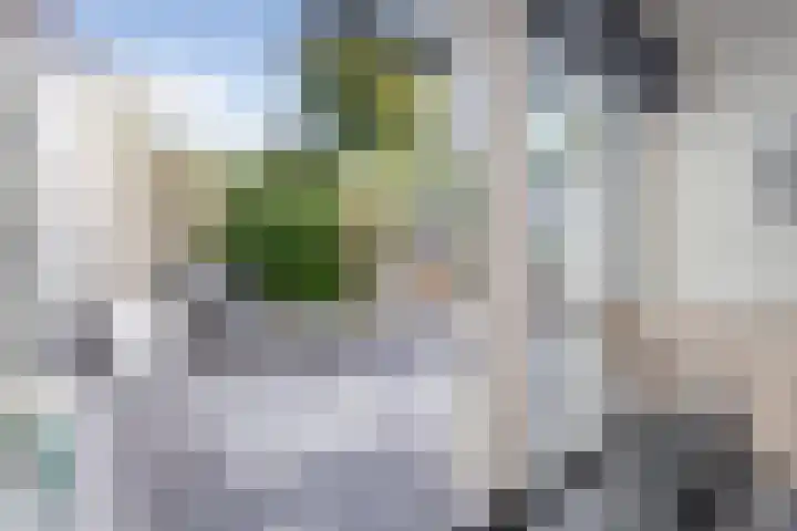 Verlengde Koepellaan 9 Bloemendaal thumbnail 16