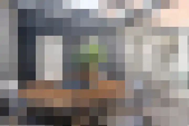 Verlengde Koepellaan 9 Bloemendaal thumbnail 20
