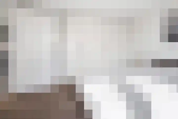 Verlengde Koepellaan 9 Bloemendaal thumbnail 43