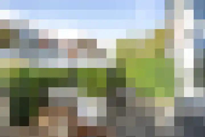 Verlengde Koepellaan 9 Bloemendaal thumbnail 53