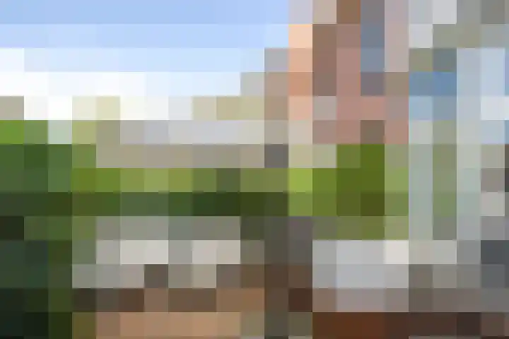 Verlengde Koepellaan 9 Bloemendaal thumbnail 6