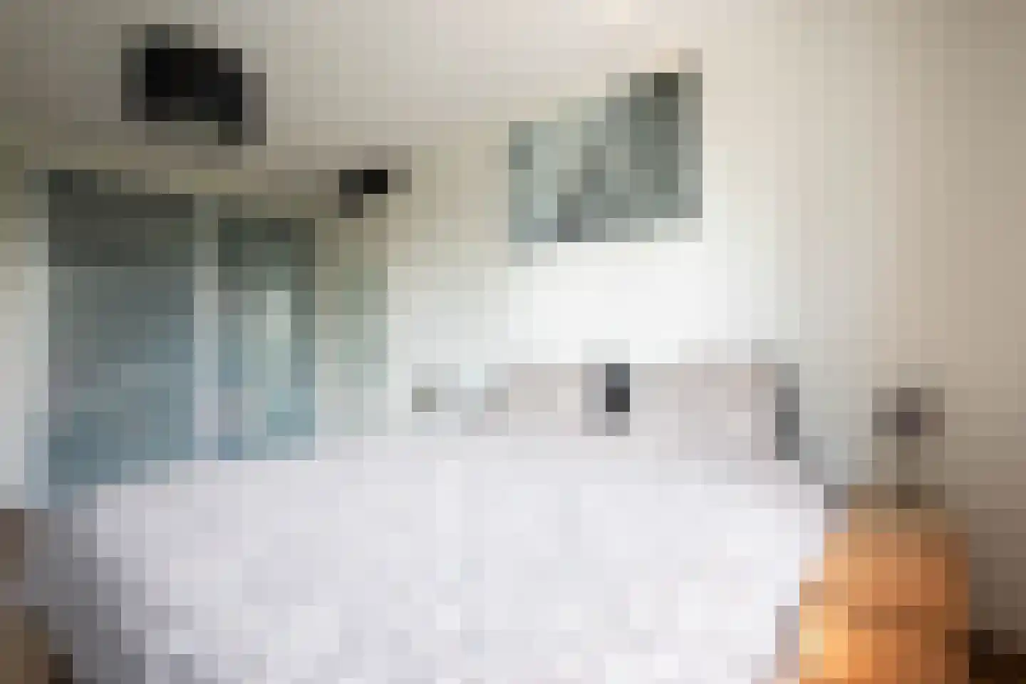 Verlengde Lijnbaan 10 Aalsmeer thumbnail 14