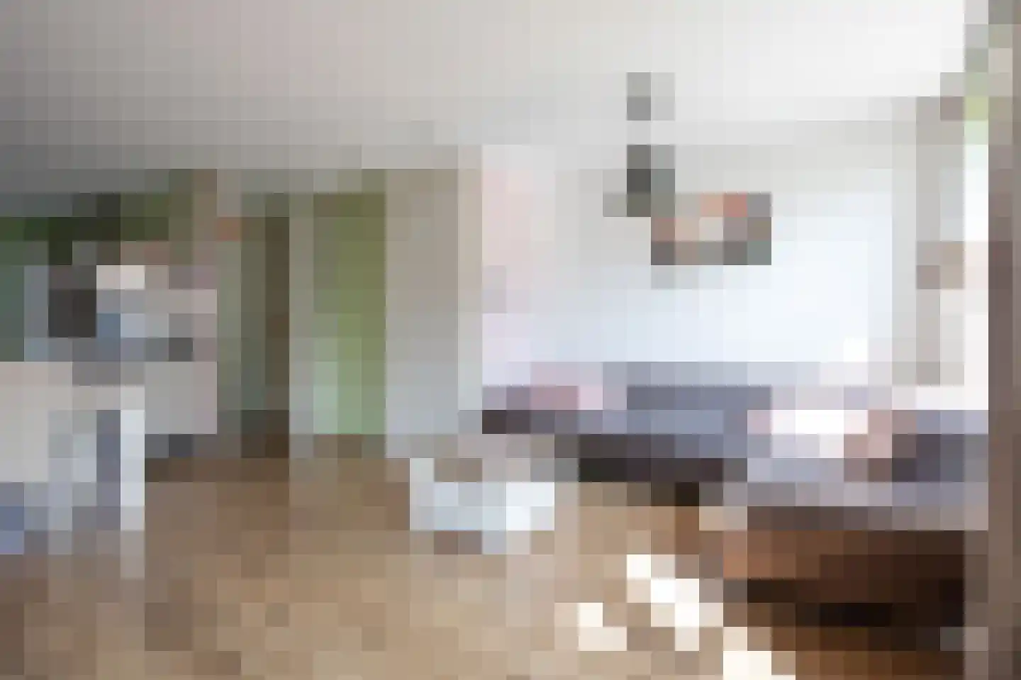 Verlengde Lijnbaan 10 Aalsmeer thumbnail 9