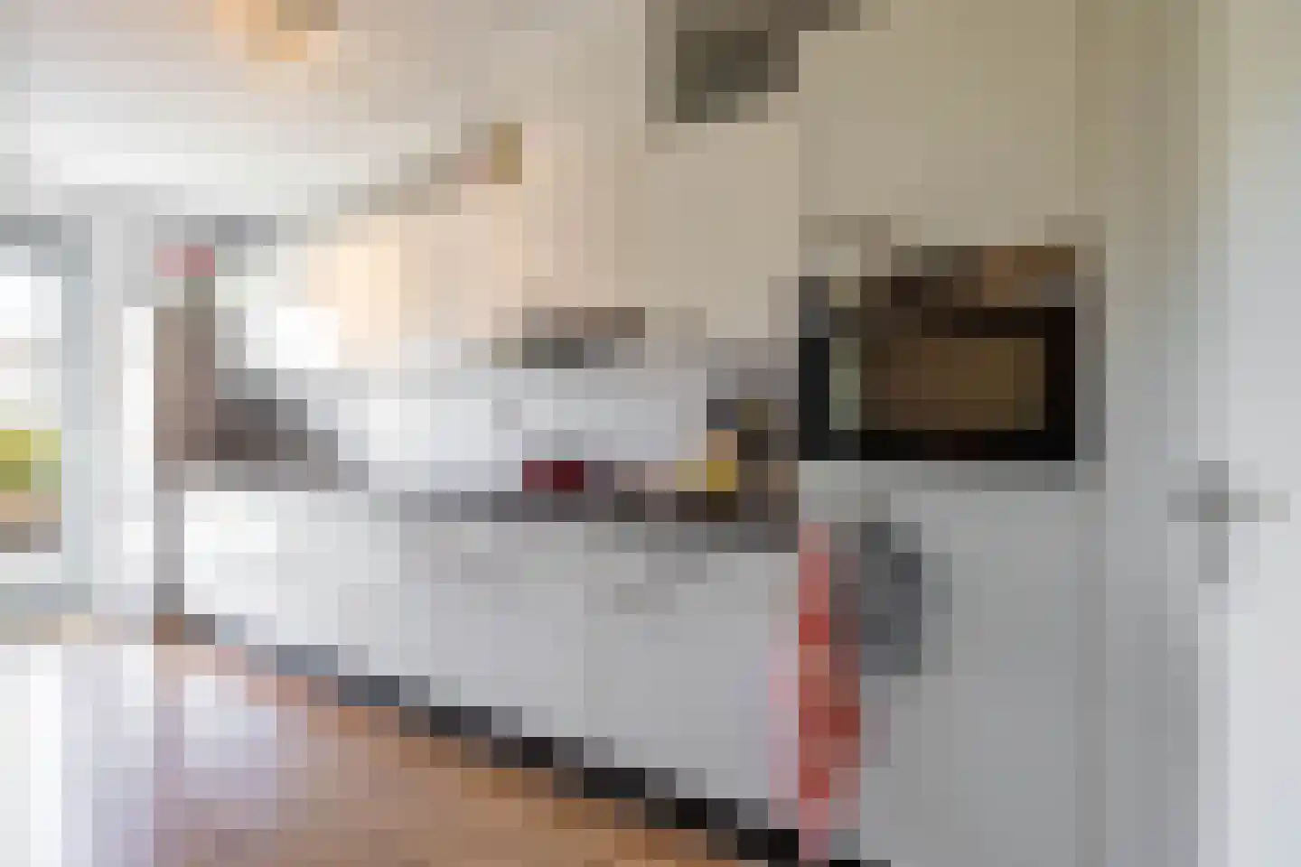 Verlengde Lodewijkstraat 102 Groningen thumbnail 33