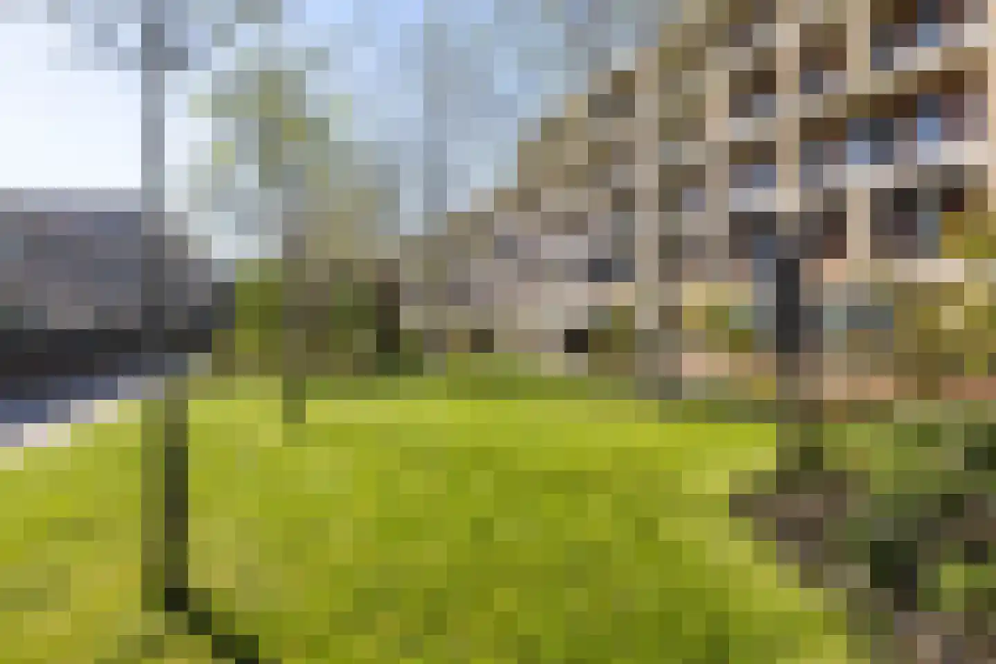 Verlengde Lodewijkstraat 102 Groningen thumbnail 44