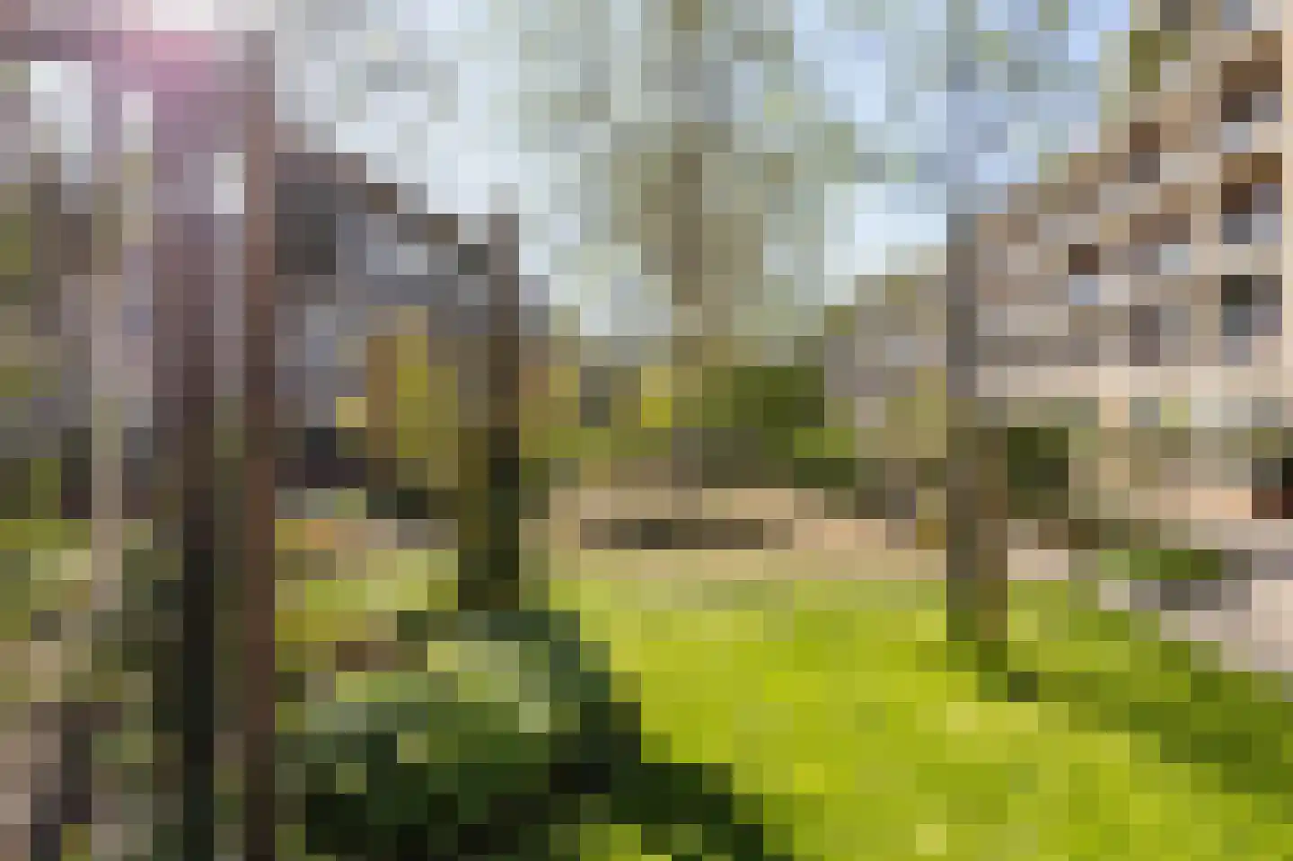 Verlengde Lodewijkstraat 102 Groningen thumbnail 45
