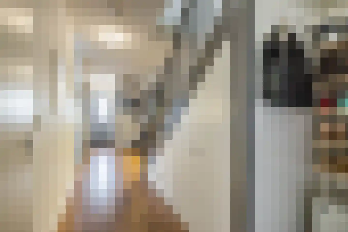 Verlengde Lodewijkstraat 102 Groningen thumbnail 9
