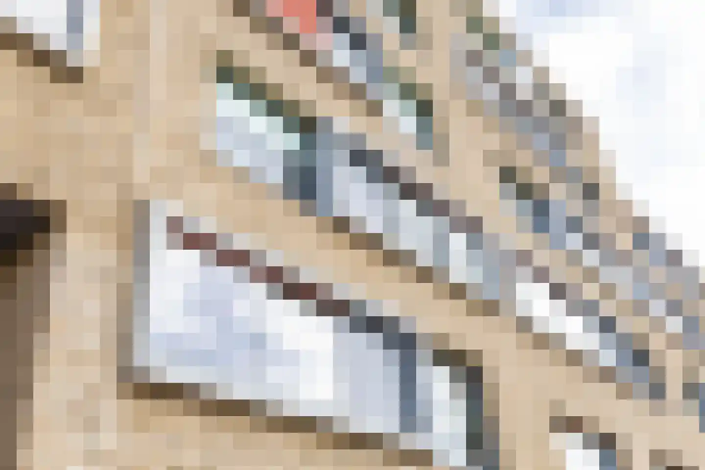 Verlengde Lodewijkstraat 122 Groningen thumbnail 4