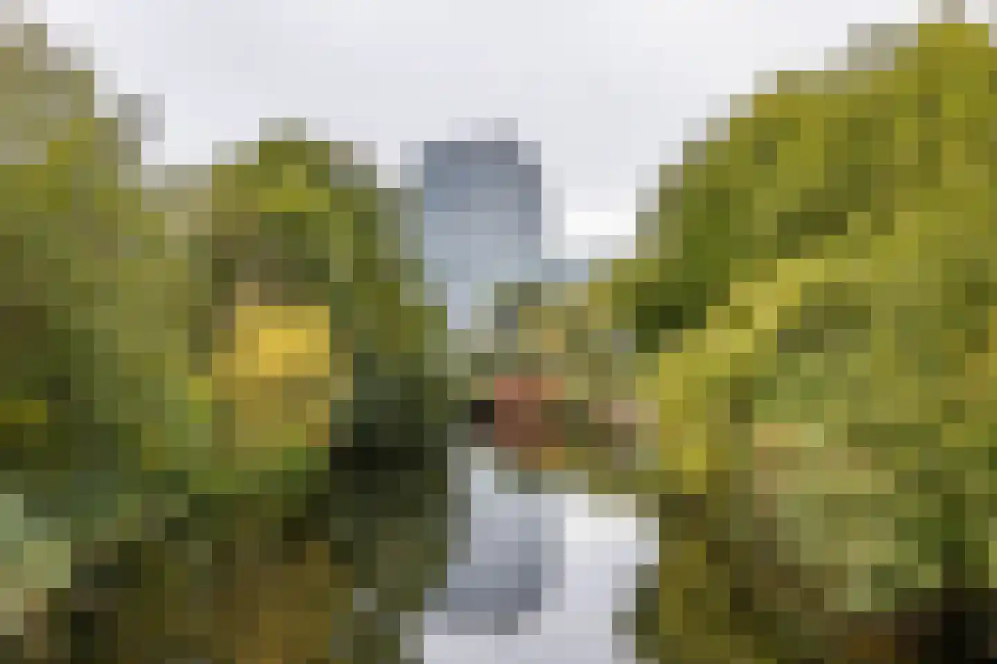 Verlengde Lodewijkstraat 122 Groningen thumbnail 43