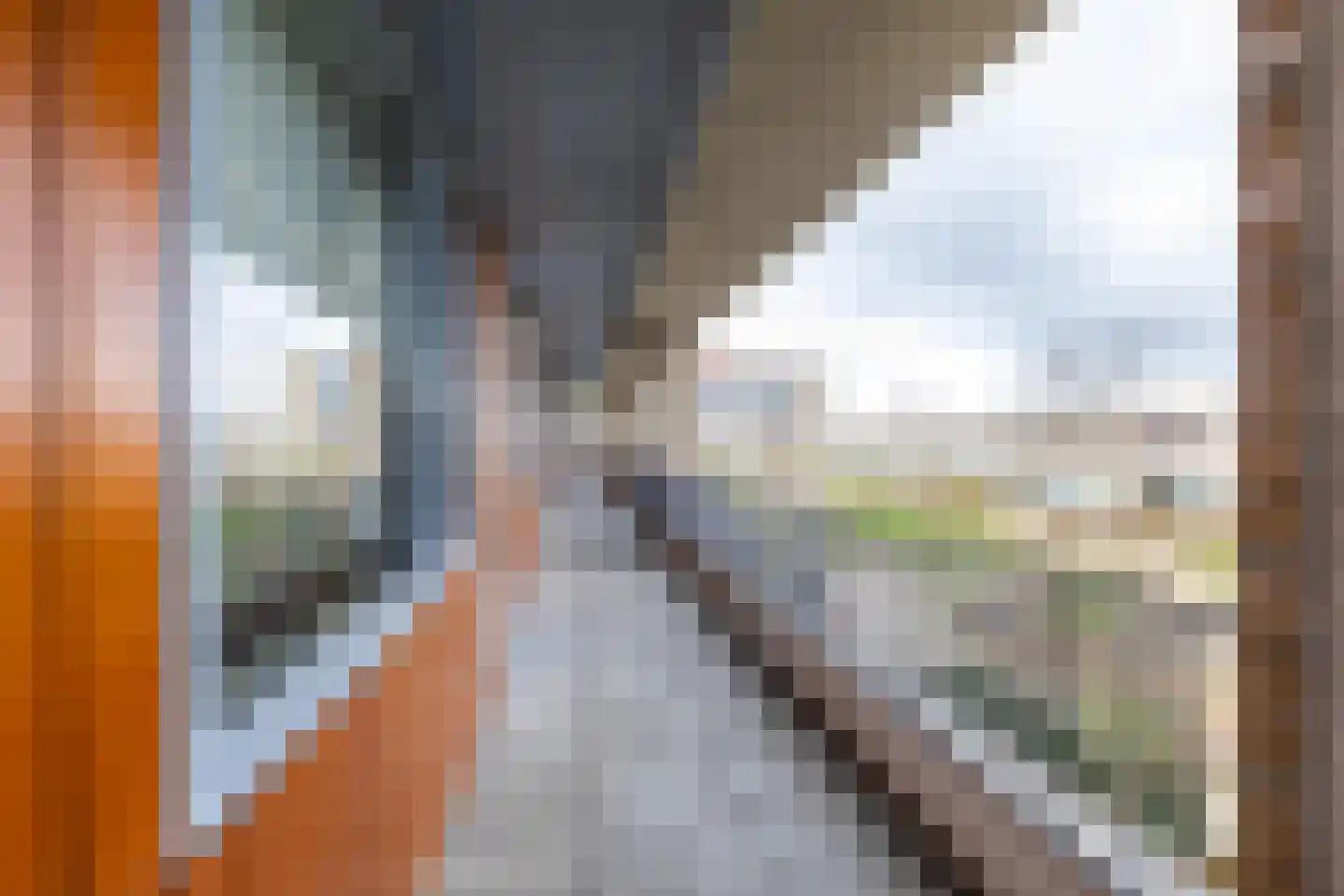 Verlengde Lodewijkstraat 122 Groningen thumbnail 7