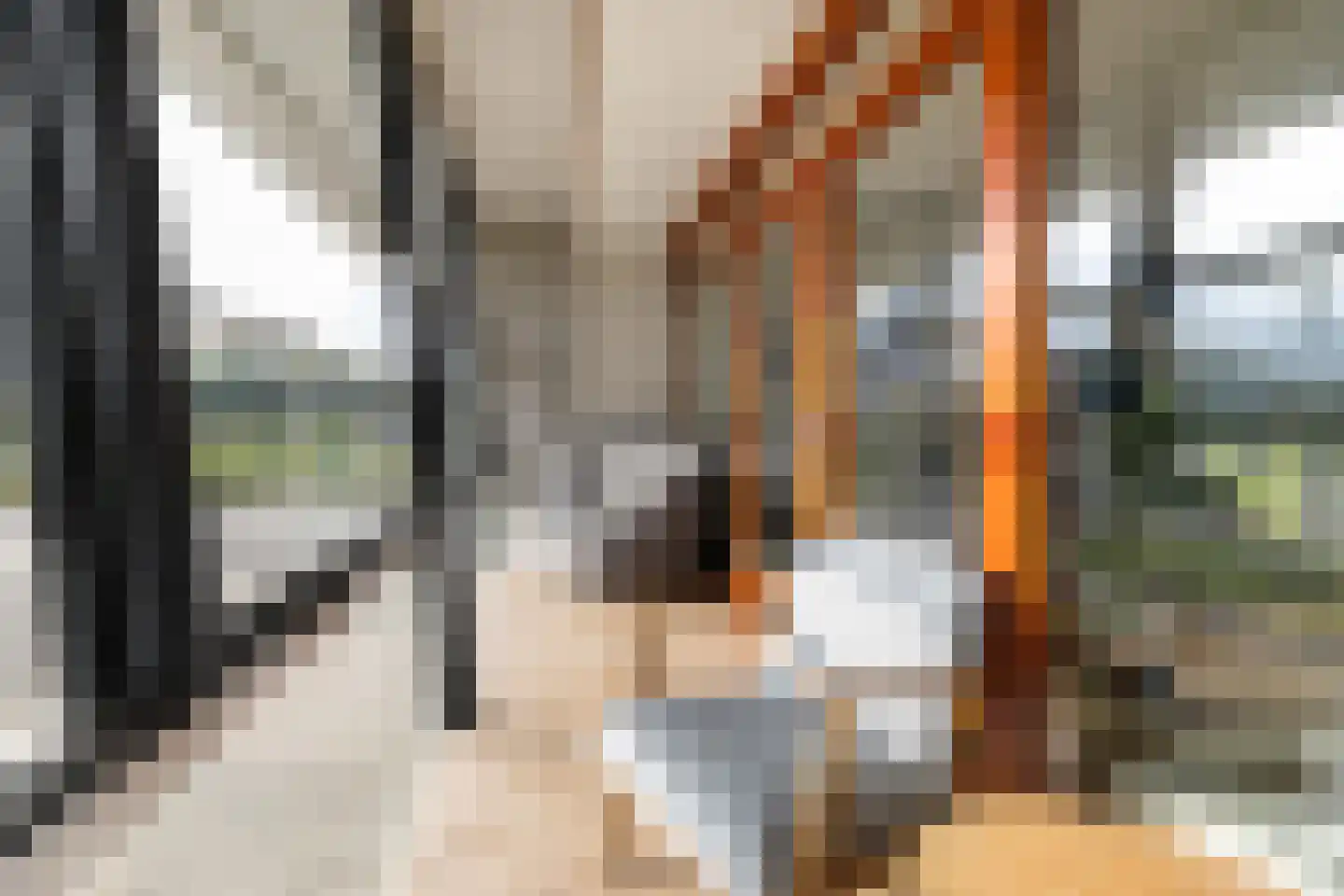 Verlengde Lodewijkstraat 17 b Groningen thumbnail 15