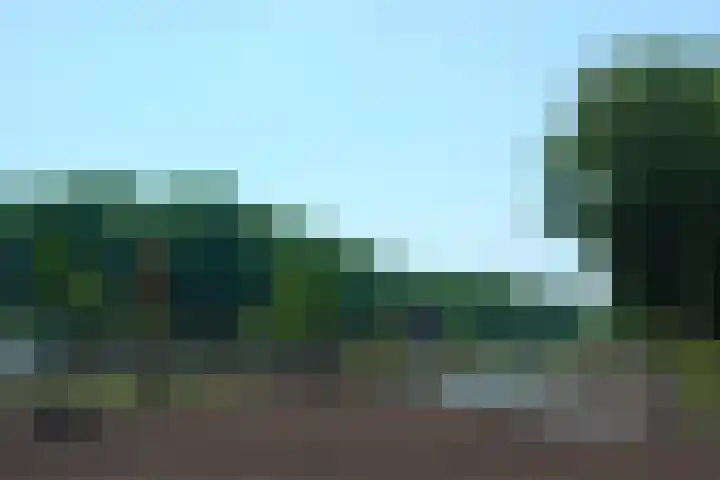 Verlengde Lodewijkstraat 19 b Groningen thumbnail 33