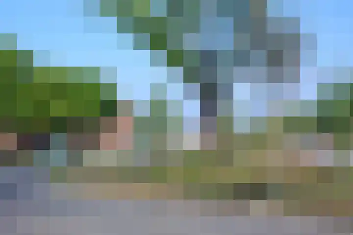 Verlengde Lodewijkstraat 19 b Groningen thumbnail 34