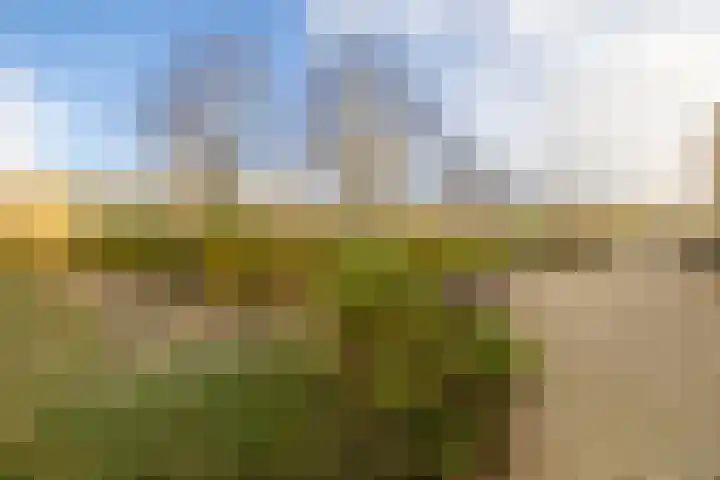 Verlengde Lodewijkstraat 30 Groningen thumbnail 5