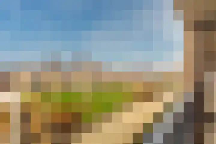 Verlengde Lodewijkstraat 46 Groningen thumbnail 8