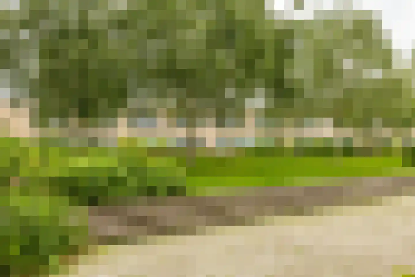 Verlengde Lodewijkstraat 90 Groningen thumbnail 38