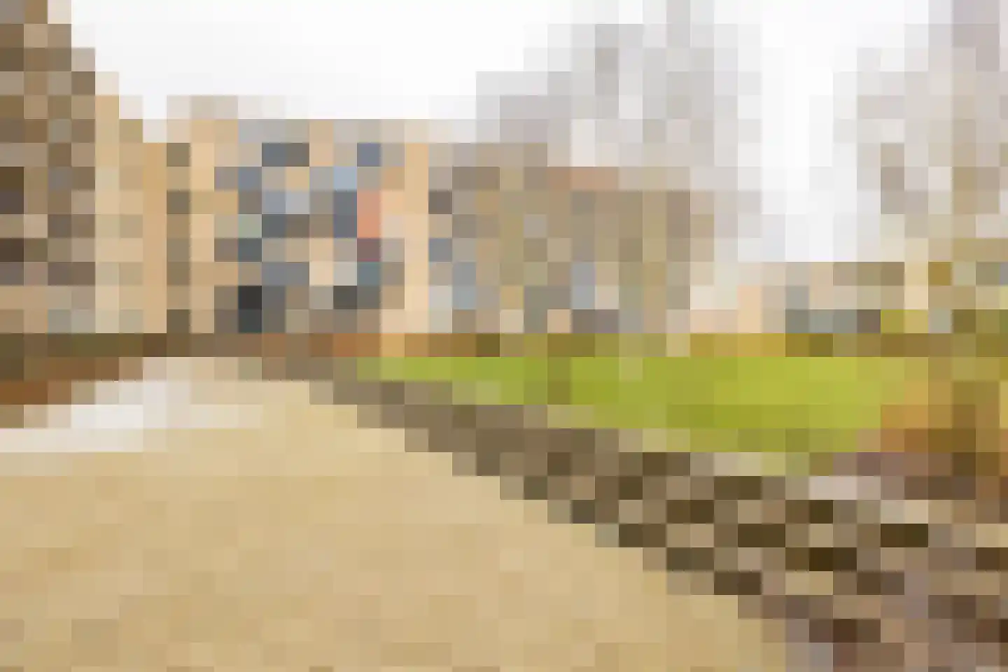 Verlengde Lodewijkstraat 98 Groningen thumbnail 36