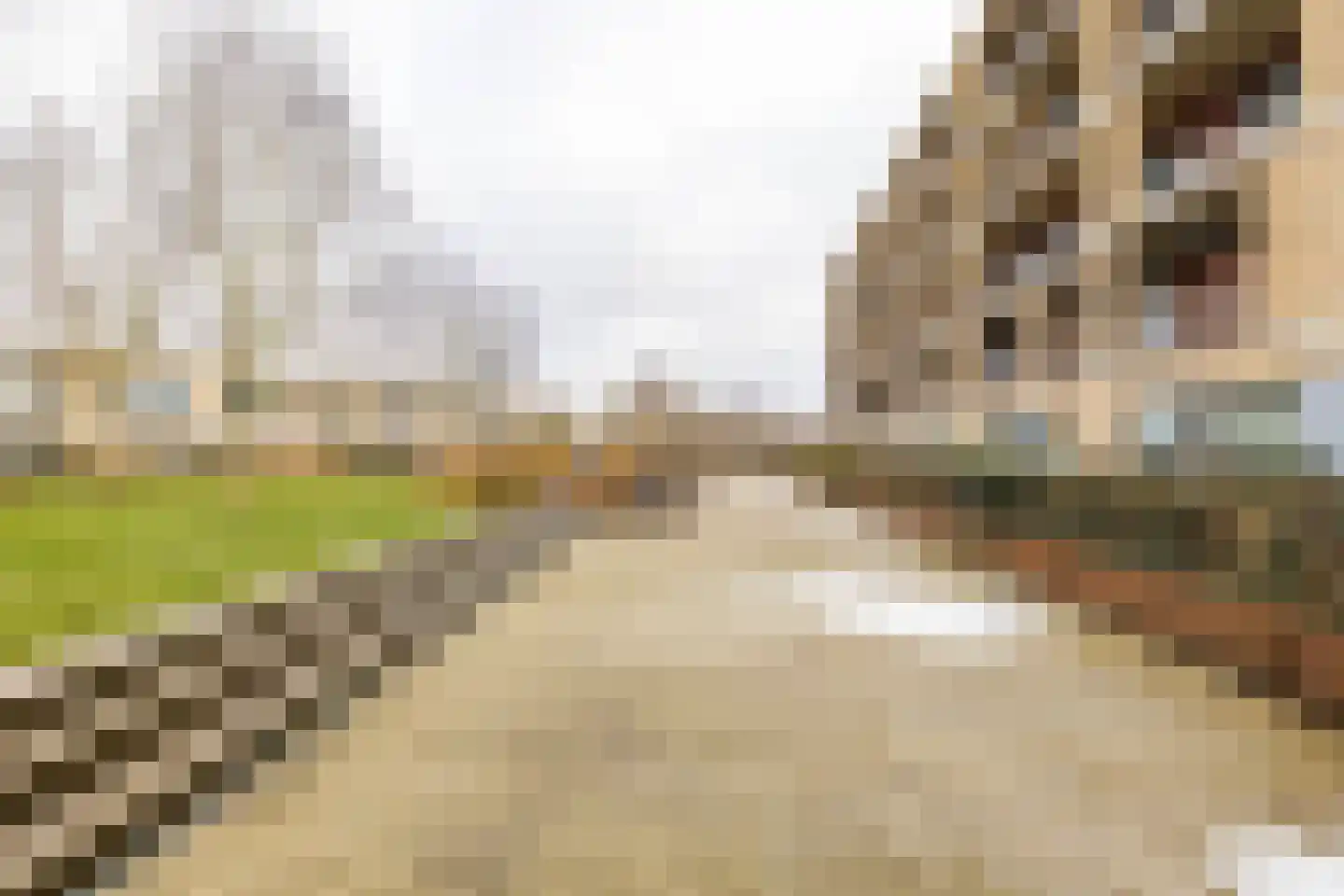 Verlengde Lodewijkstraat 98 Groningen thumbnail 37