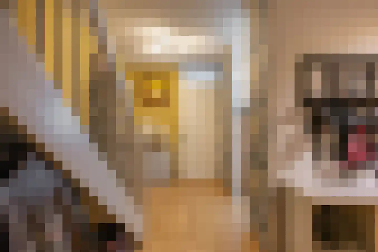 Verlengde Lodewijkstraat 98 Groningen thumbnail 9