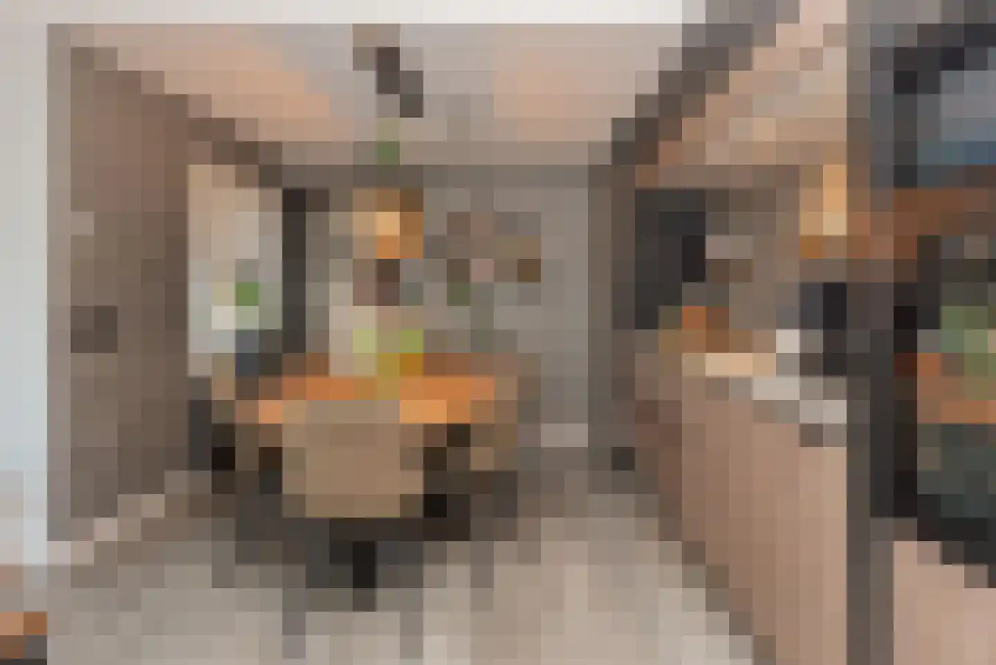 Verlengde Looweg 3 A Oldebroek thumbnail 10