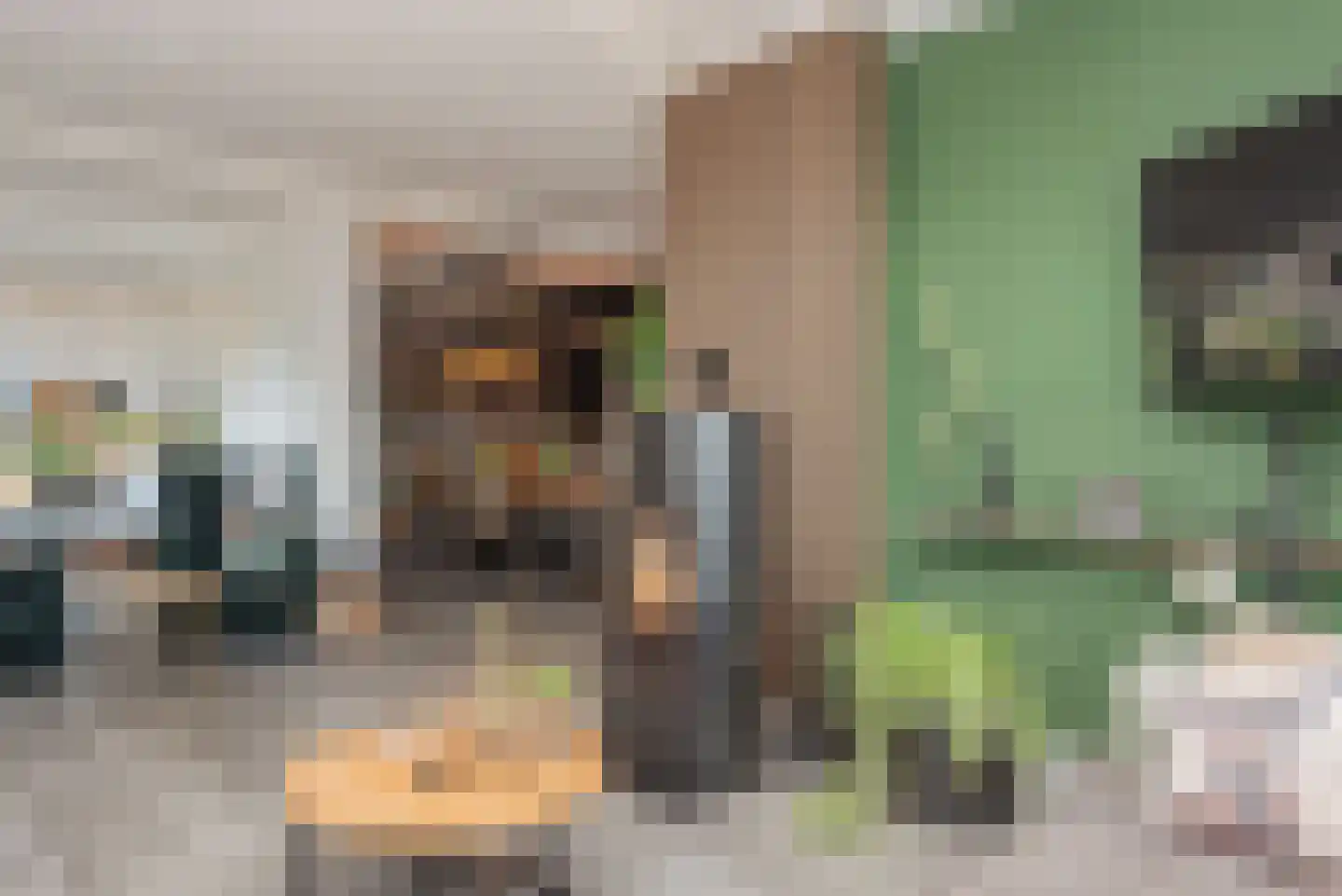Verlengde Looweg 3 A Oldebroek thumbnail 17