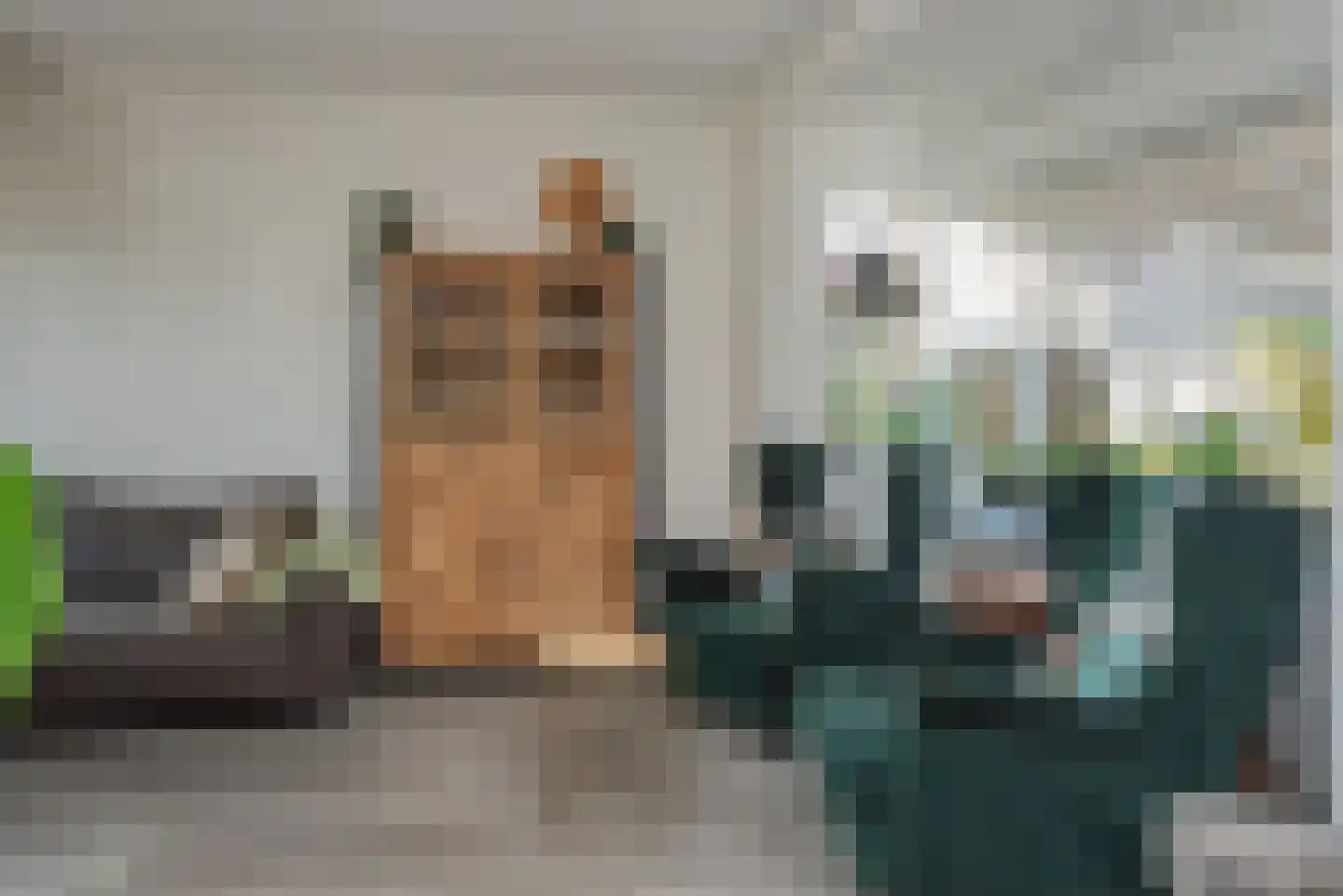 Verlengde Looweg 3 A Oldebroek thumbnail 19