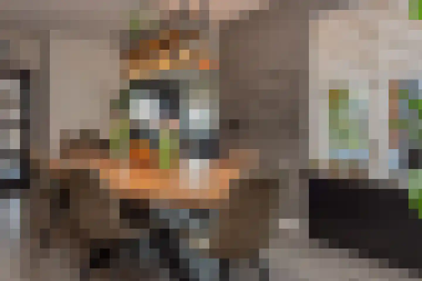 Verlengde Looweg 3 A Oldebroek thumbnail 20