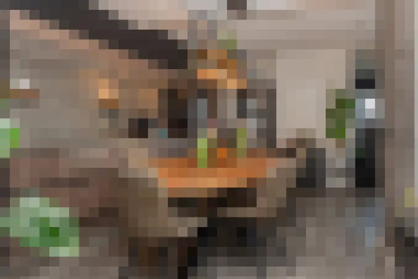 Verlengde Looweg 3 A Oldebroek thumbnail 21