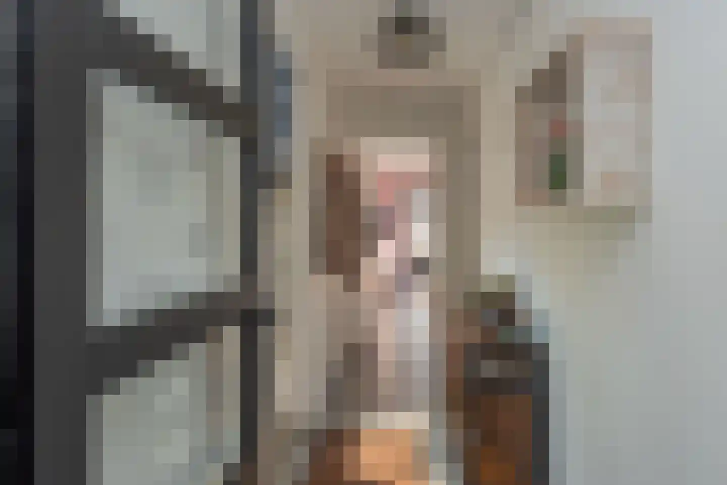 Verlengde Looweg 3 A Oldebroek thumbnail 24