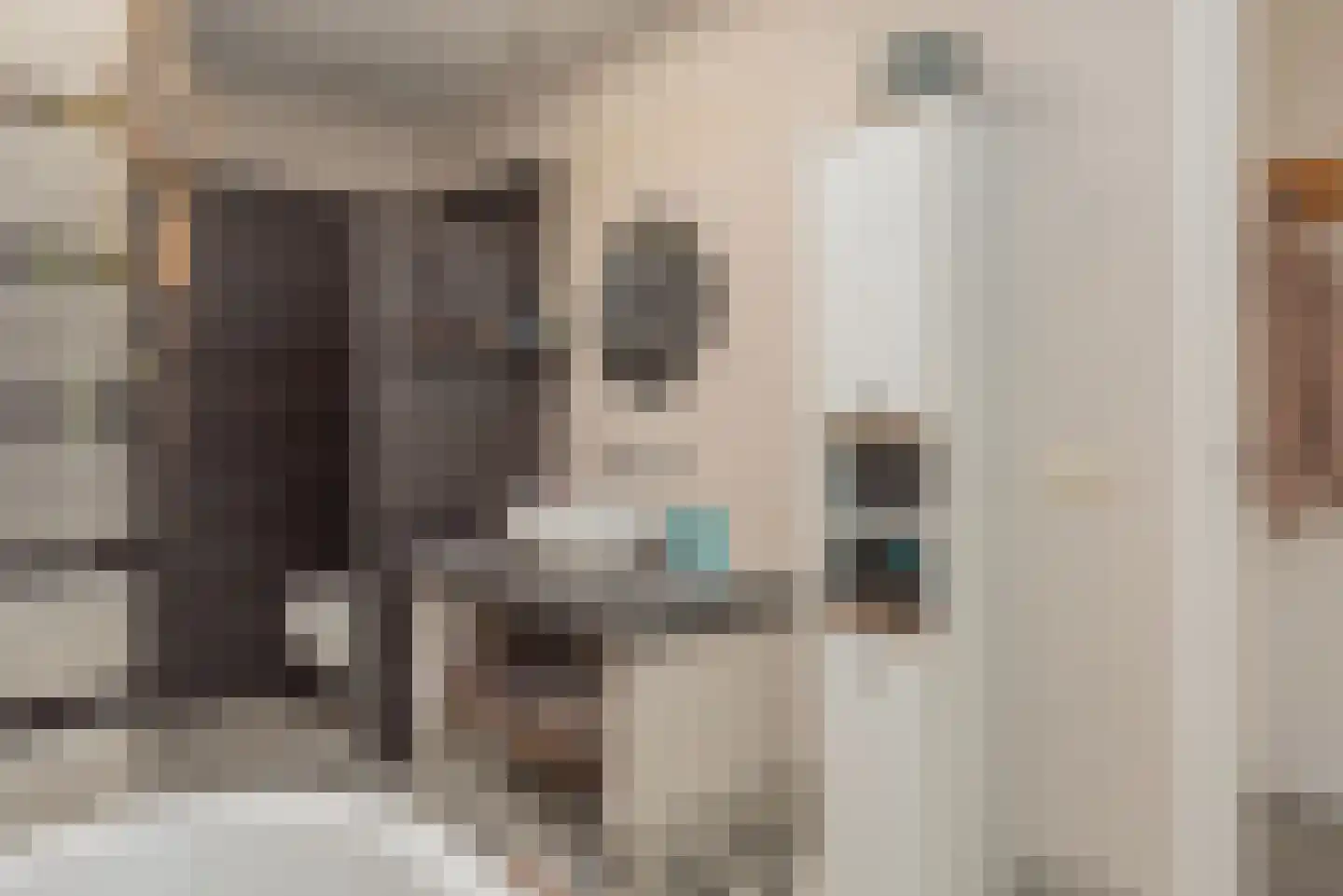 Verlengde Looweg 3 A Oldebroek thumbnail 25
