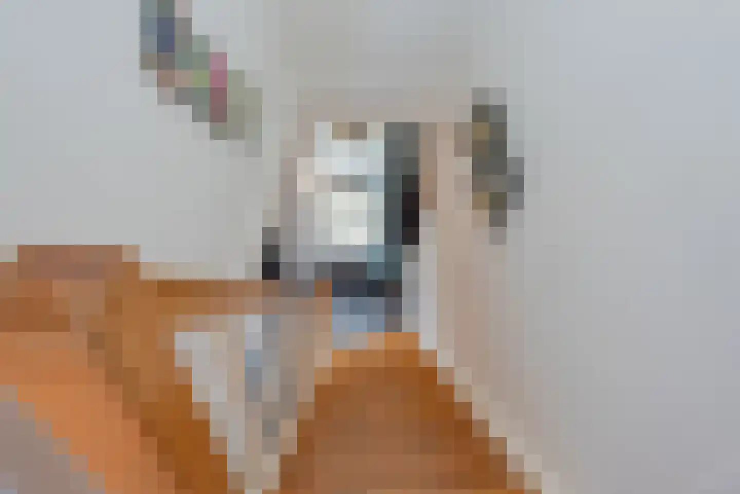 Verlengde Looweg 3 A Oldebroek thumbnail 35