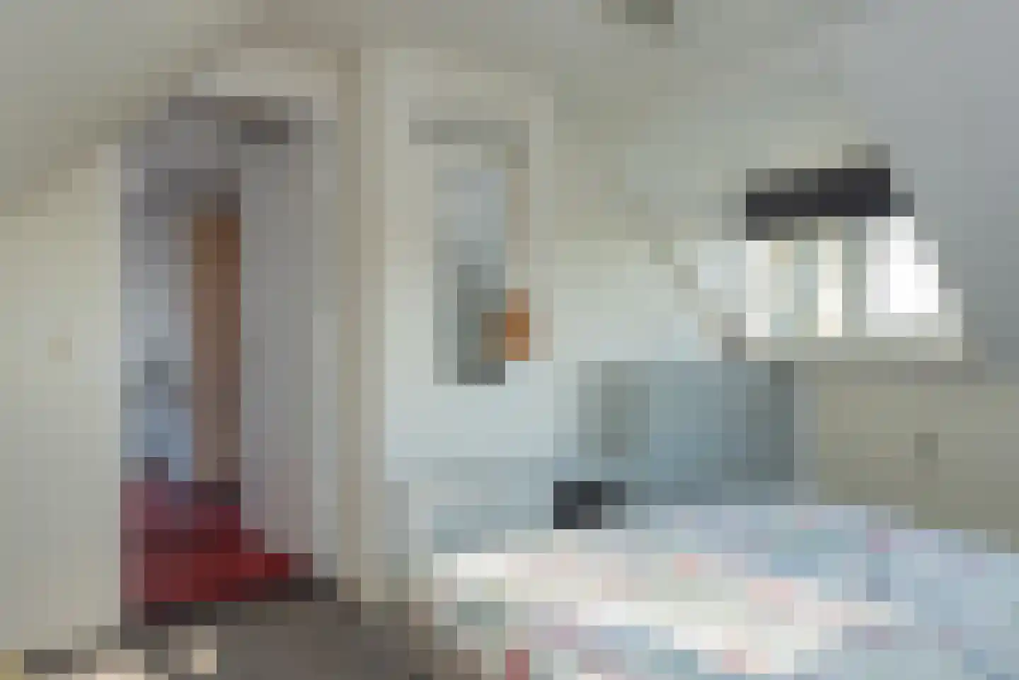 Verlengde Looweg 3 A Oldebroek thumbnail 40