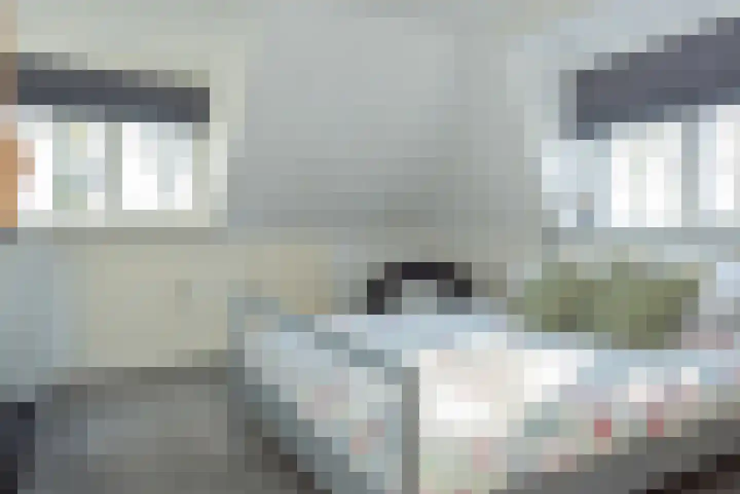 Verlengde Looweg 3 A Oldebroek thumbnail 41