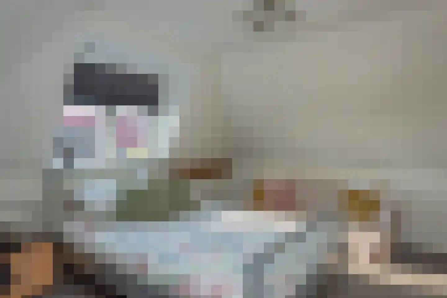 Verlengde Looweg 3 A Oldebroek thumbnail 43