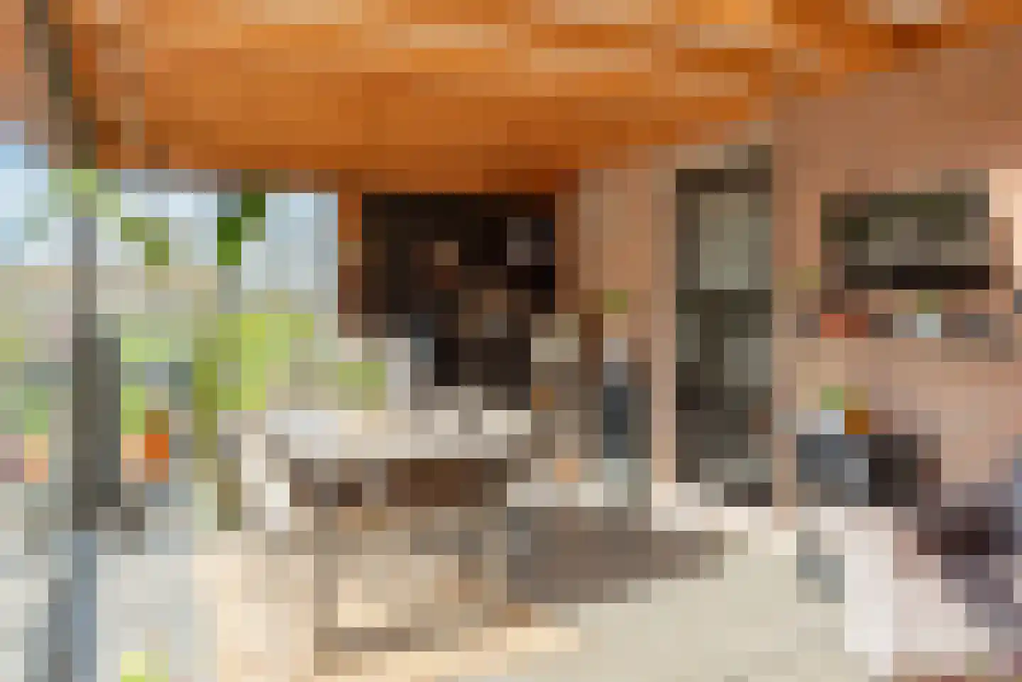 Verlengde Looweg 3 A Oldebroek thumbnail 44